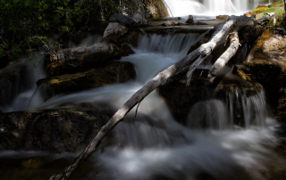 Lower Murray Creek Falls